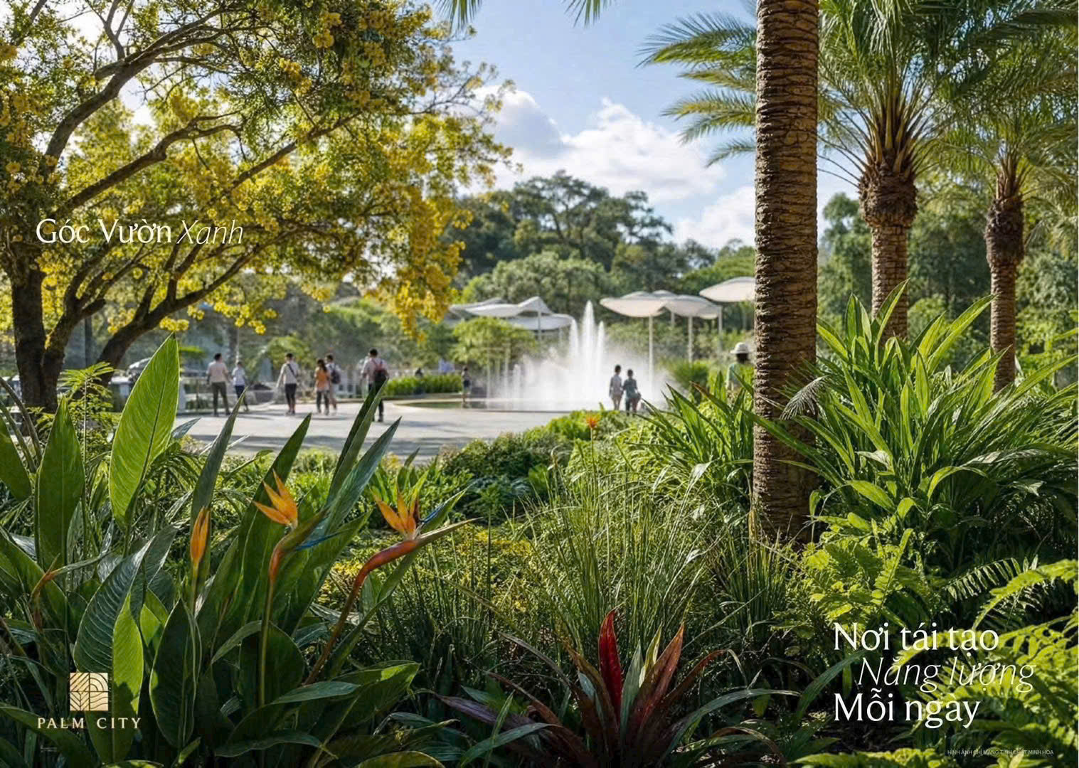 Palm River - Ảnh 5